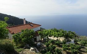 Ampelos Seaview